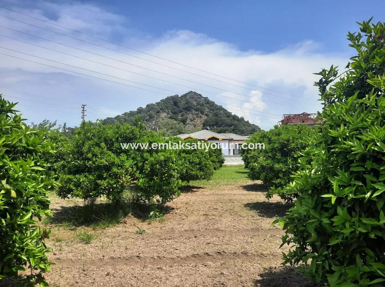 Muğla Dalyan Da Satılık 722 M2 İmarlı Müstakil Arsa