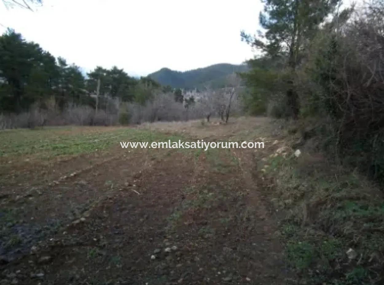 Fethiye Nif Te Satılık 1985 M2 Arsa Ve Eski Köy Evi