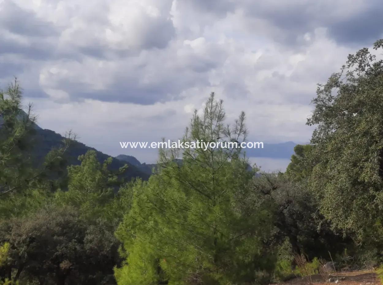 Muğla Dalyan Gökbelde  7 270 M2 Müstakil Tapulu Deniz Ve Göl Manzaralı Arazi Satılık