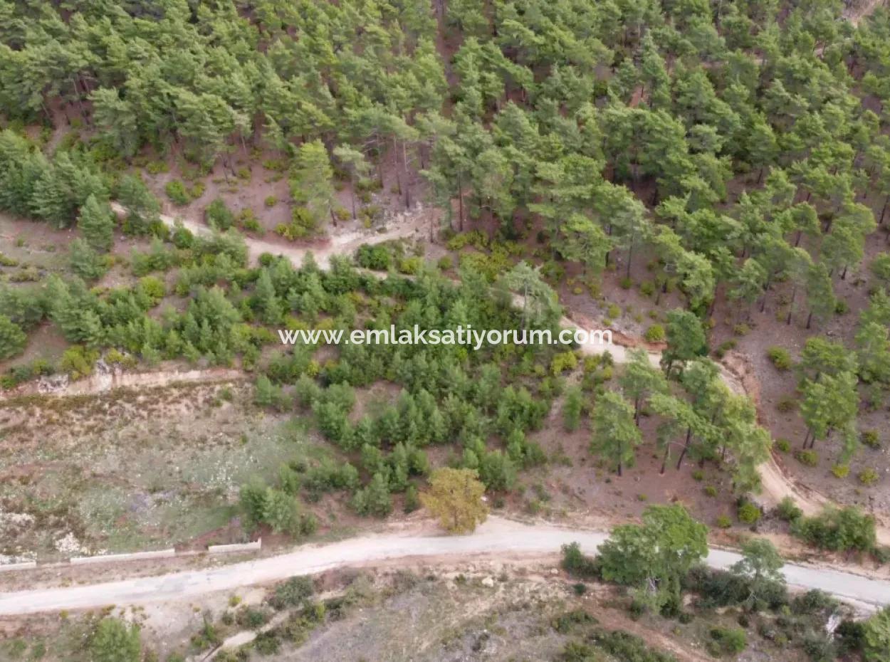 Fethiye Üzümlü Kızılbelde 7.000M2, 250M2 İnşaat Hakkı Olan Satılık Yatırıma Uygun Arazi