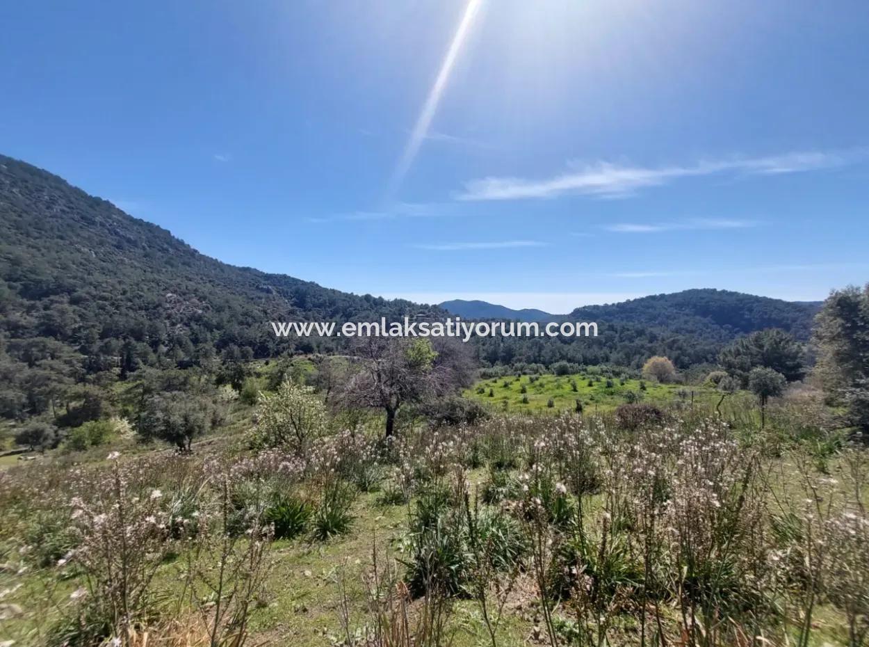 Ortaca Gökbelde 1896 M2 Doğa İçinde Arazi Satılık