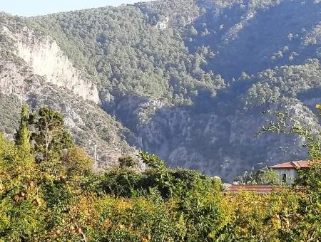 Muğla Dalyan Marmarlıda Satılık Yatırıma Uygun Arazi