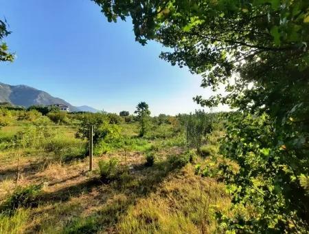 Muğla Dalyan Marmarlıda Satılık Yatırıma Uygun Arazi