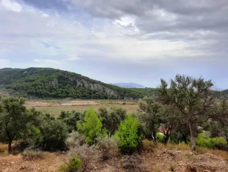 Muğla Ortaca Sarıgermede 880 M2 Full Deniz Ve Doğa Manzaralı Arsa Satılık