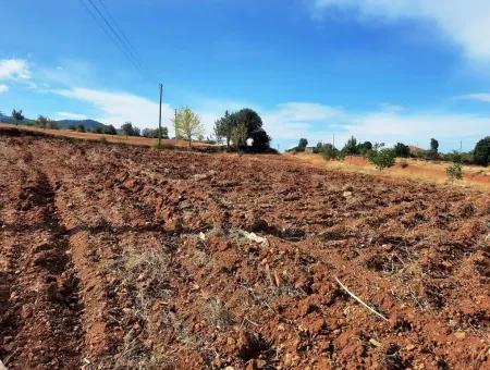 Denizli Çameli Cevizlide Satılık 2 700 M2 Arazi Ve Köy Evi