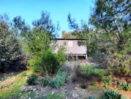 Muğla Dalyan Gökbelde 1700 M2 Doğa Manzaralı Müstakil Arazi Ve Bungalov