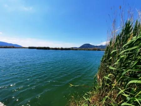 Muğla Dalyanda Satılık Kanala Sıfır Yatırıma Uygun Nar Bahçesi