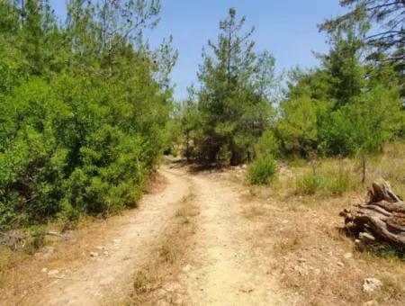 Muğla Menteşe Denizovada Satılık 3031 M2 Müstakil Tarla