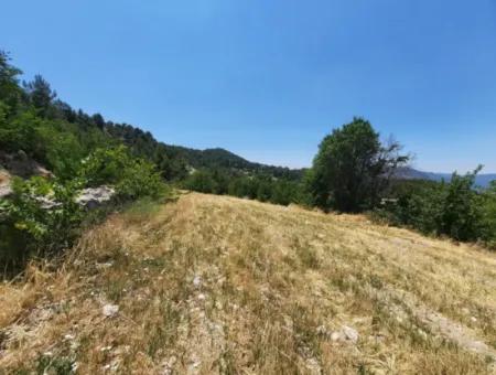 Denizli Çameli Gökçeyakada 2762 M2 Müstakil Arazi Satılık