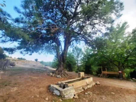 Muğla Dalyan Gökbelde 320 M2 Kelepir Arazi Satılık