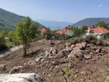 Muğla Köyceğiz Yayla Mah 570 M2 Arsa Satılık