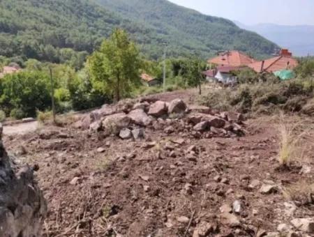 Muğla Köyceğiz Yayla Mah 570 M2 Arsa Satılık