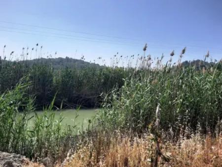 Muğla Ortaca Sarıgermede Satılık 14300 M2 Yatırıma Uygun Arazi