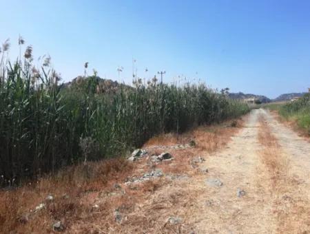 Muğla Ortaca Sarıgermede Satılık 14300 M2 Yatırıma Uygun Arazi