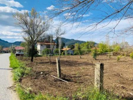 Dalyan Okçularda 734 M2 2 Parsel Arsa Satılık