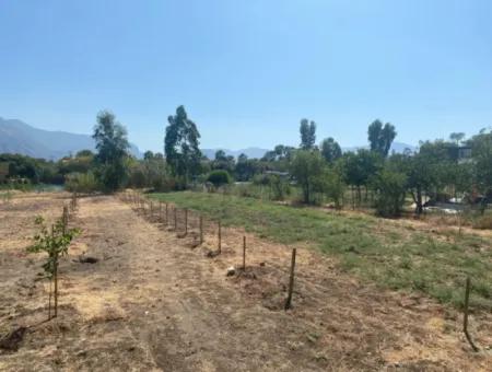 Köyceğiz Çandır Dalyan Kanalına Sıfır 1000 M2 Arazi Satılık