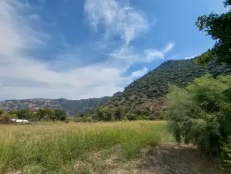 Muğla Dalyan'da Dağa Sıfır Verimli 1.680 M2 Arazisi Satılık