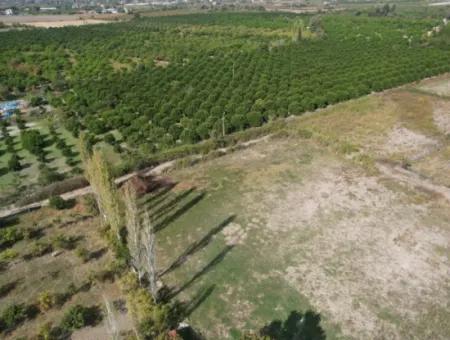 Ortaca Okçular Satılık Yatırıma Uygun 1577 M2 Arsa