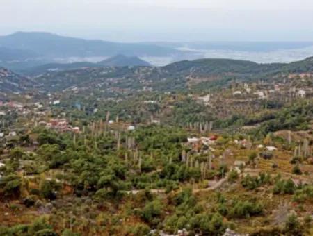 Antalya Kaş Kalkan İslamlarda Satılık 12 300 M2 Yatırıma Uygun Arazi