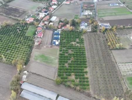 Ortaca Okçularda Yatırıma Uygun İmar Planı İçinde 9750  M2 Arazi Satılık