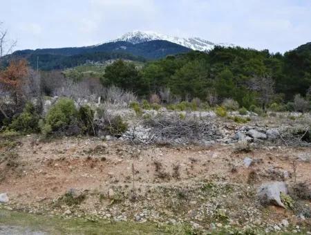 Fethiye Arpacık Ta Satılık Kelepir Arazi