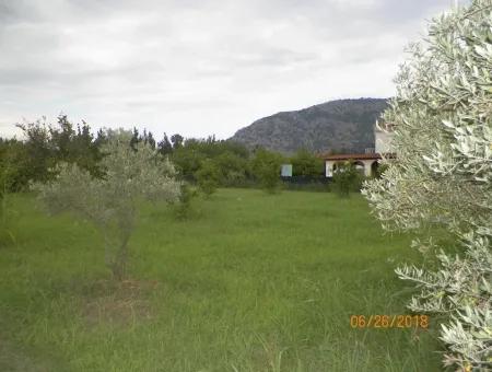 Dalyan Da Satılık Kelepir İmarlı Arsa