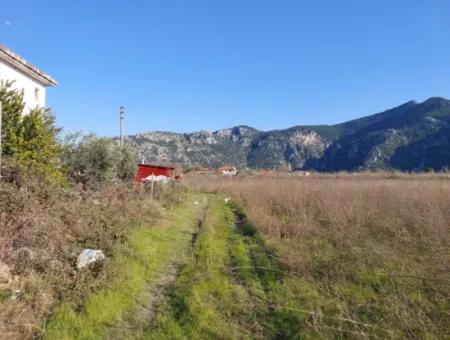 Muğla Ortaca Dalyanda 4.800 M2 Arazi Satılık