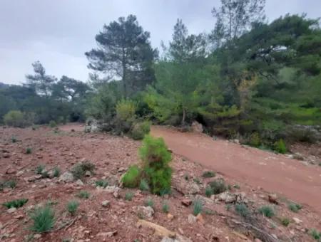 Muğla Dalyan Gökbelde Doğa İçinde 24.000 M2 Müstakil Arazi Satılık