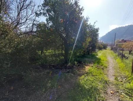 Ortaca Okçularda Satılık 1 520 M2 Yatırıma Uygun Arsa