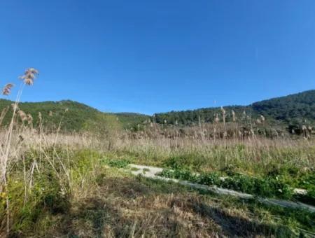 Muğla Ortaca Güzelyurtta Satılık Verimli 6.350 M2 Arazi