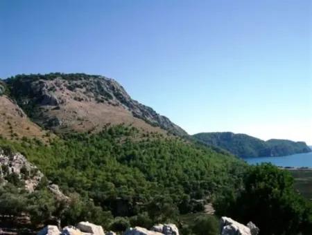 Muğla Dalaman İncebelde Satılık Deniz Ve Göl Manzaralı Arsa