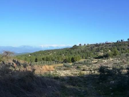 Fethiye Yaka Tlos Satılık Su Kenarı Değerli Arazi