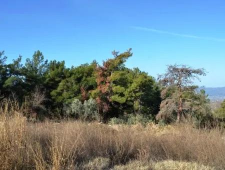 Fethiye Yaka Tlos Satılık Su Kenarı Değerli Arazi