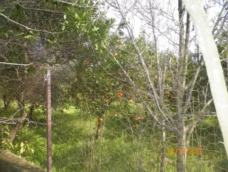 Toparlarda Satılık Yola Sıfır İmarlı Arsa