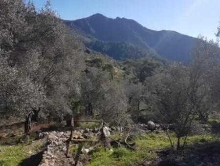 Göcek Gökçeovacıkta Satılık Deniz Manzaralı Arazi