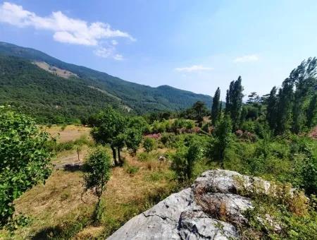 Köyceğiz Yayla, Ağla Köyünde Göl Manzaralı Yatırıma Uygun Müstakil Arazi Satılık