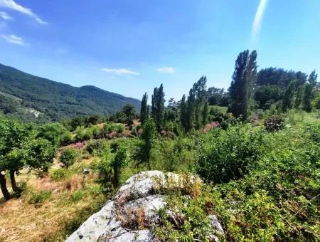 Köyceğiz Yayla, Ağla Köyünde Göl Manzaralı Yatırıma Uygun Müstakil Arazi Satılık